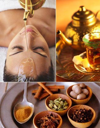 dayspa_ayurveda.jpg